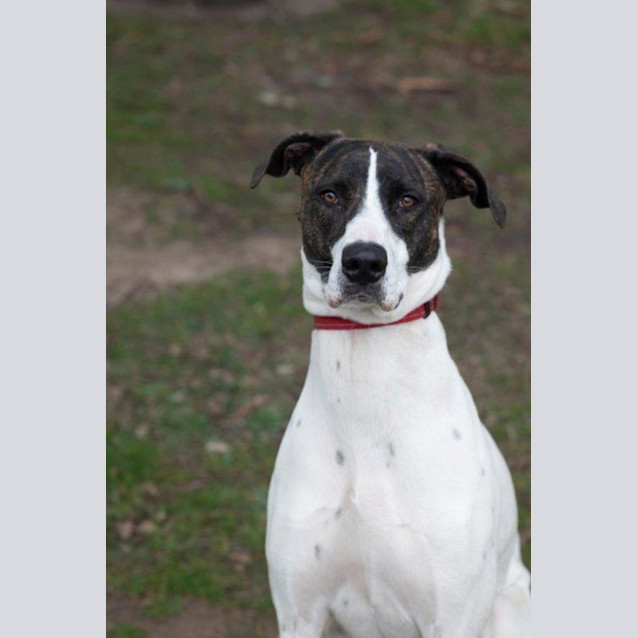 Photo of May Applegate