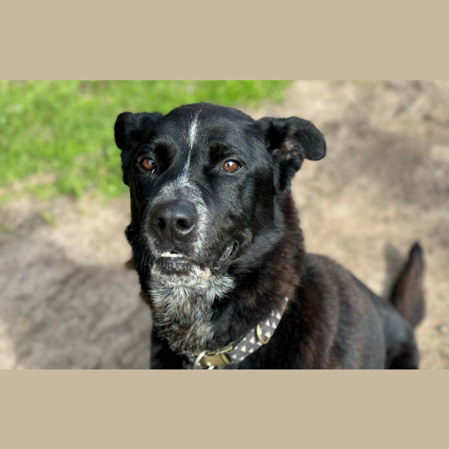 Photo of Monty