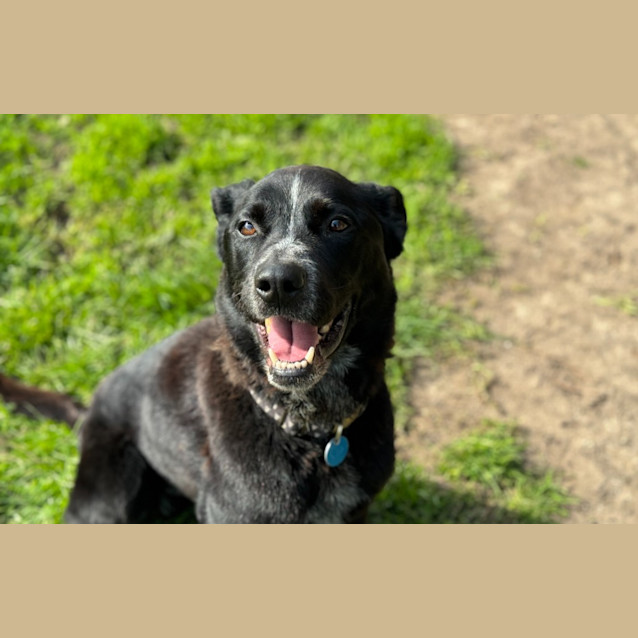 Photo of Monty