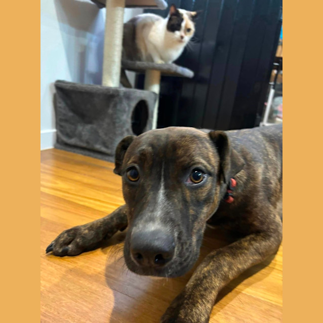 Photo of Jazzy