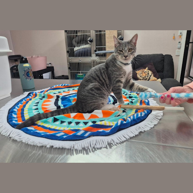 Photo of Timothy (6543)