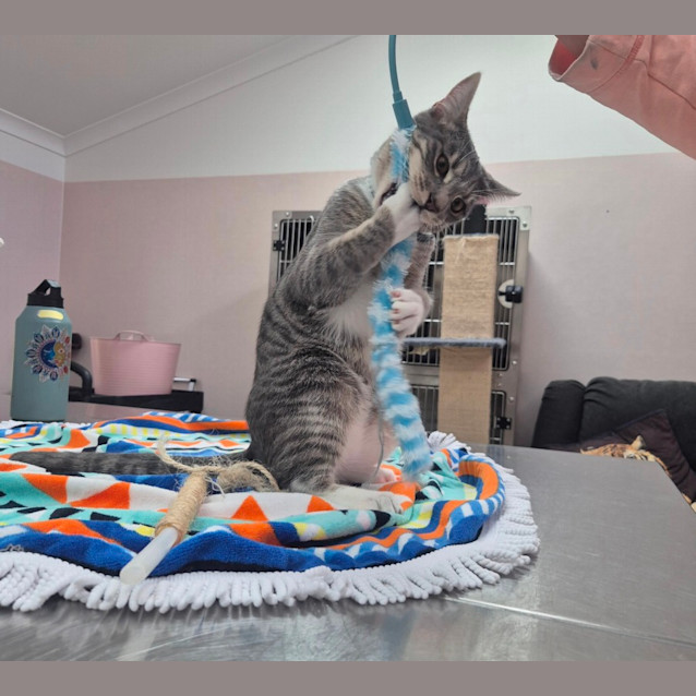 Photo of Timothy (6543)