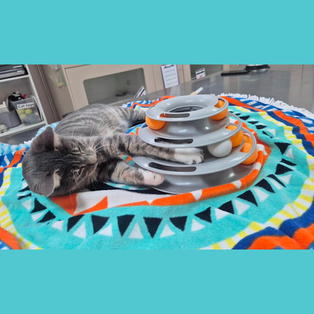 Photo of Timothy (6543)