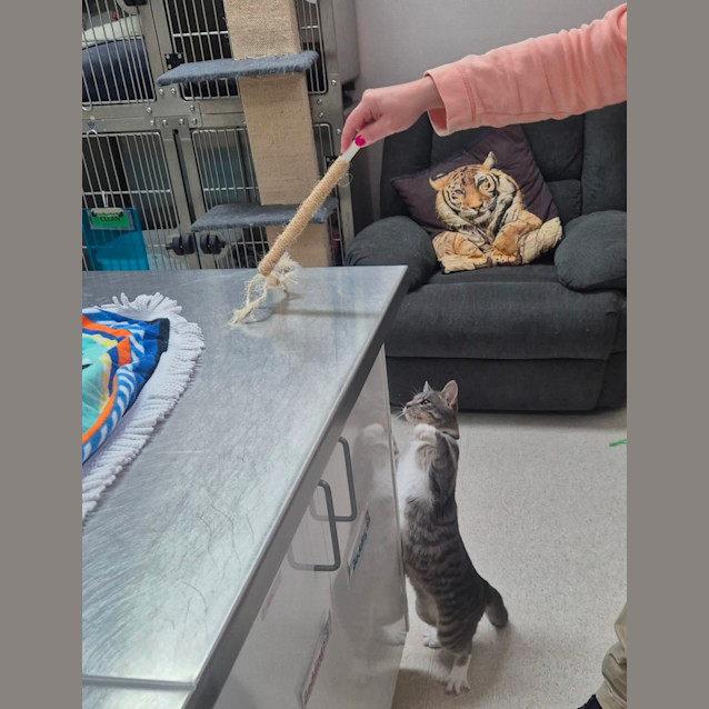 Photo of Timothy (6543)