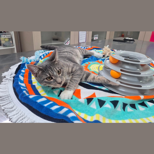 Photo of Timothy (6543)