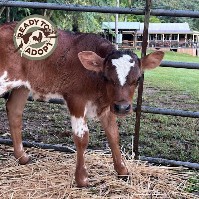 Photo of Mars And Freddo