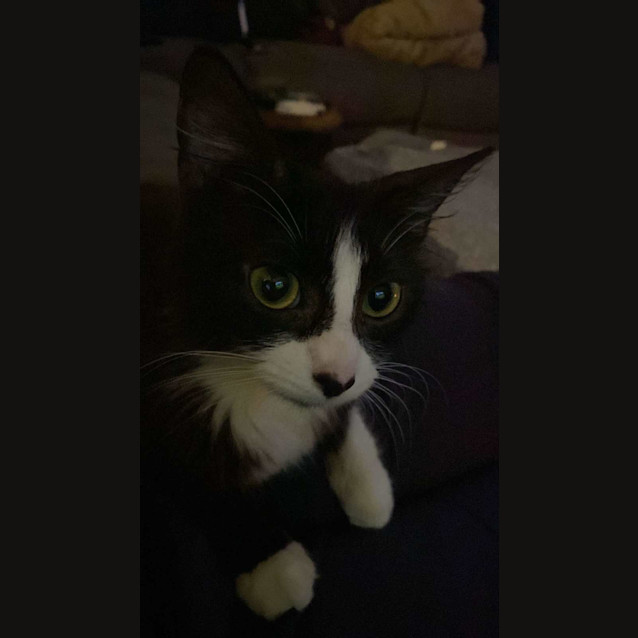 Photo of Betty