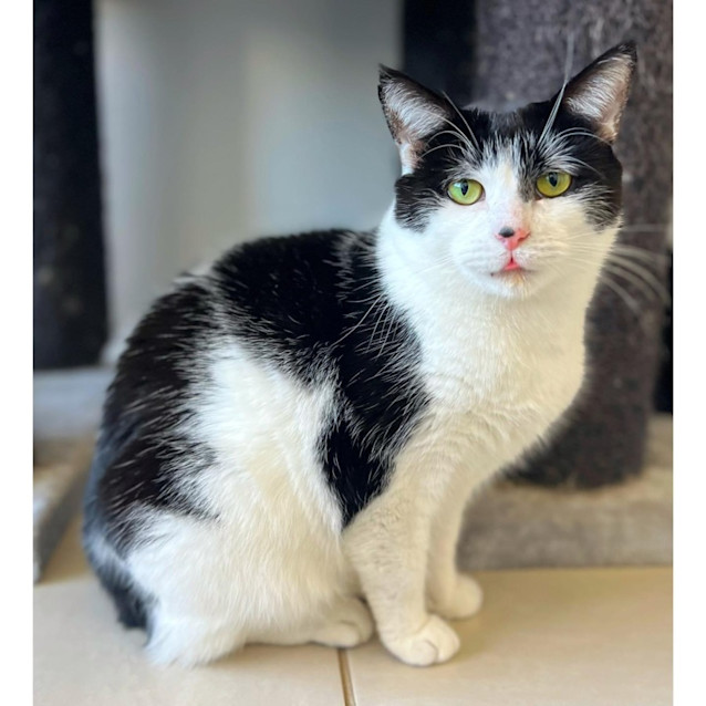 Photo of 9714   Ned