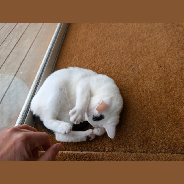 Photo of Fletcher 💙