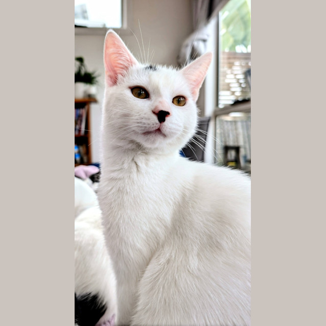 Photo of Fletcher 💙