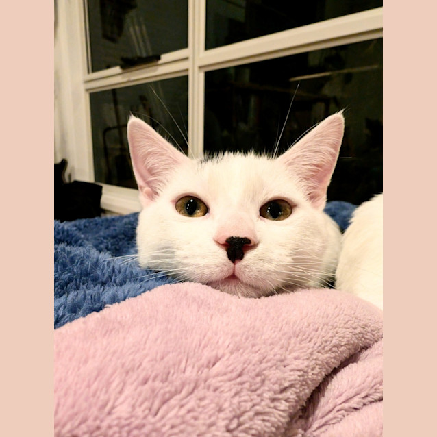 Photo of Fletcher 💙