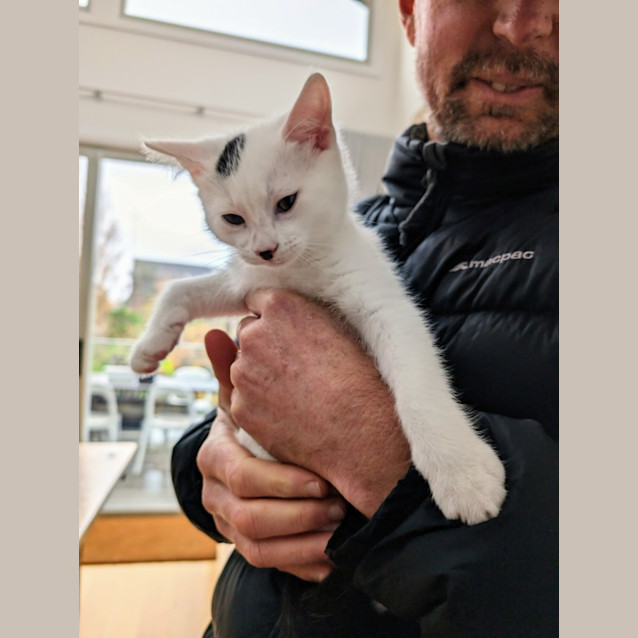 Photo of Fletcher 💙