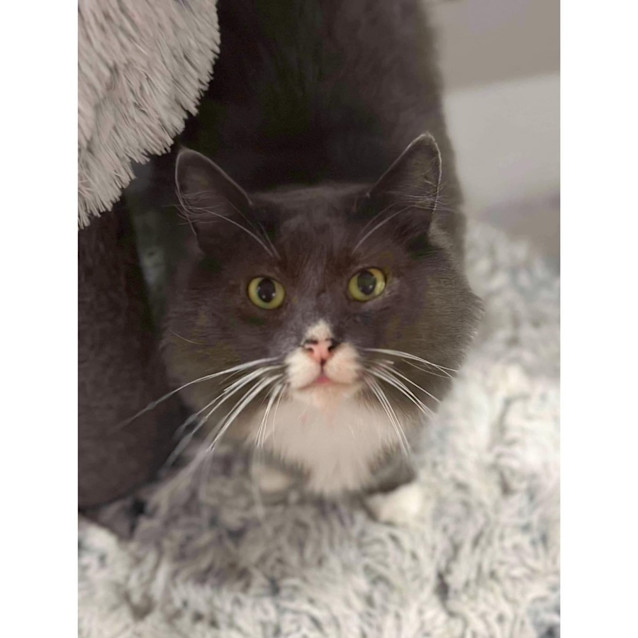 Photo of 9869   Yogi