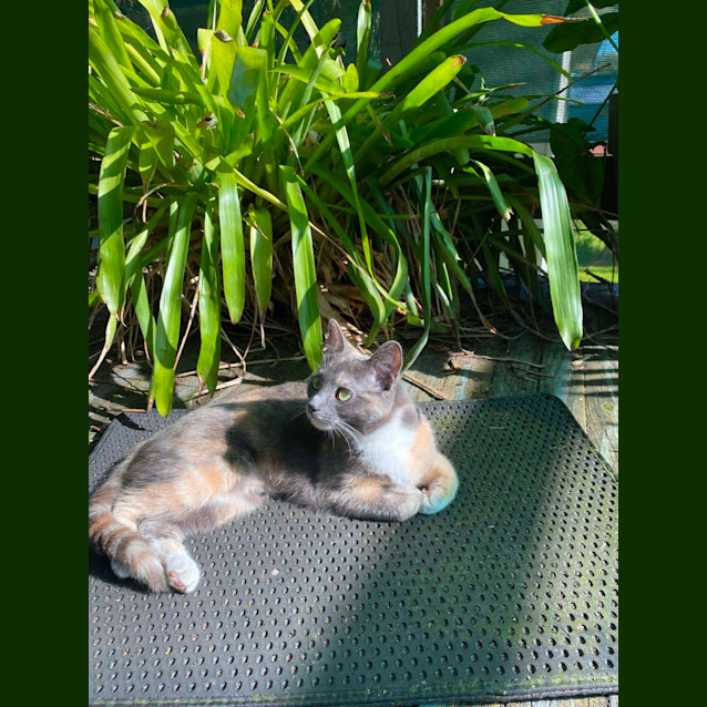 Photo of Esmeralda