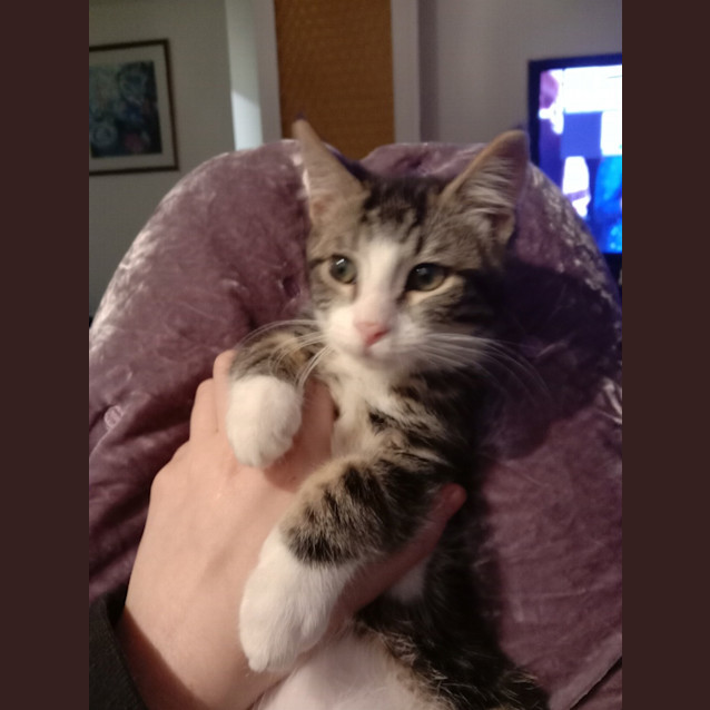 Photo of Buddy ( Was Jimmy)