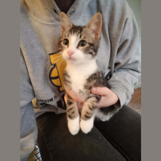 Photo of Buddy ( Was Jimmy)
