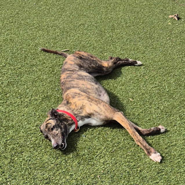 Photo of Chloe