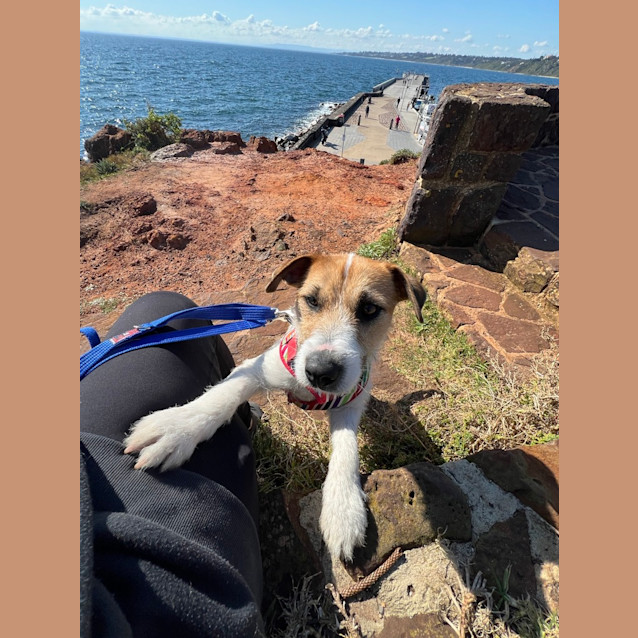 Photo of Turbo
