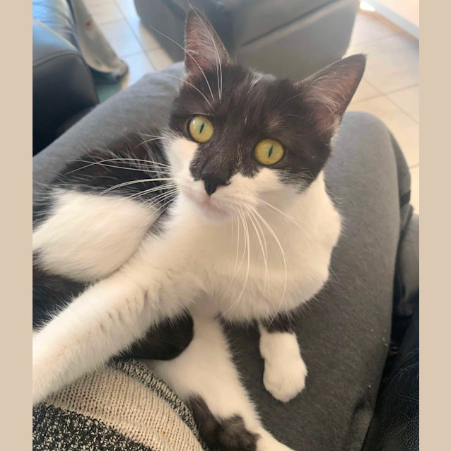 Photo of Milly ❤️