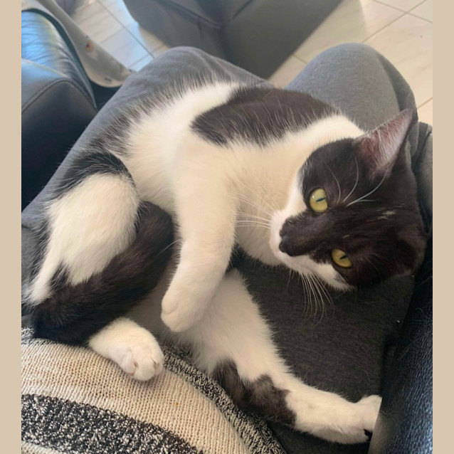 Photo of Milly ❤️