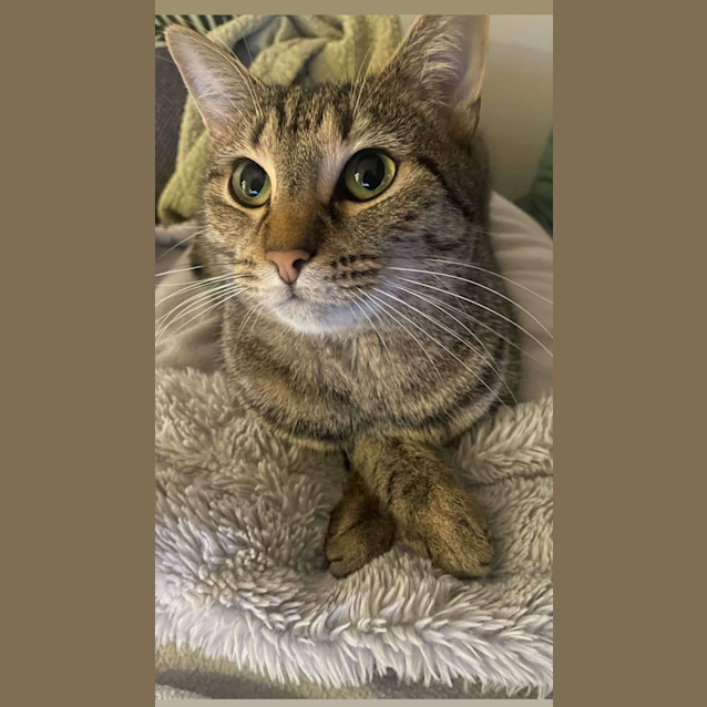 Photo of ❤️ Ruby ❤️