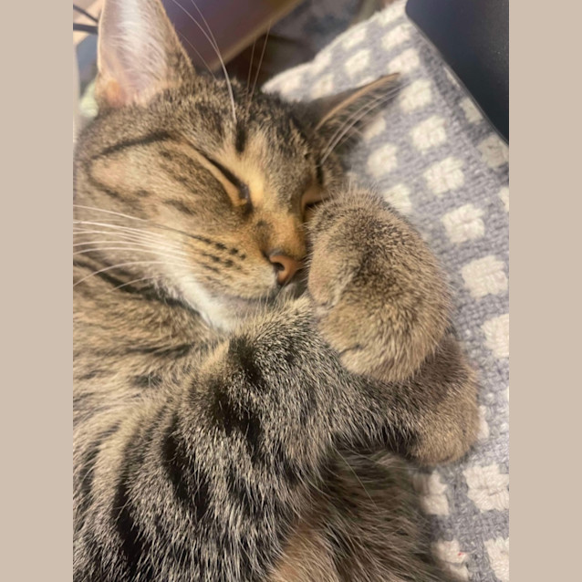 Photo of ❤️ Ruby ❤️