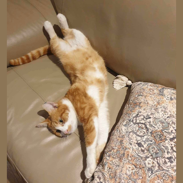 Photo of ☀️ Sunny ☀️ 