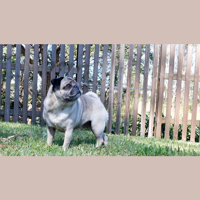 Photo of Cali And Amaya