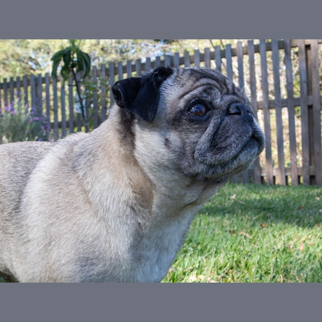 Photo of Cali And Amaya