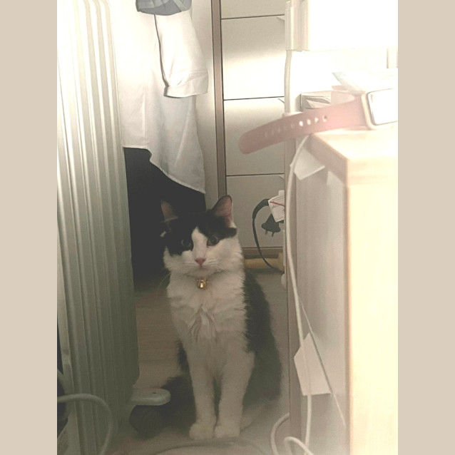 Photo of Larry