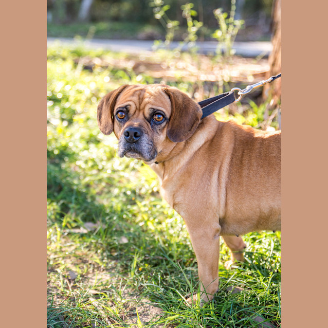 Photo of Tonto