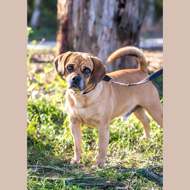 Photo of Tonto