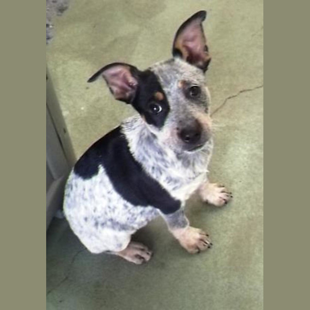 Photo of Matilda