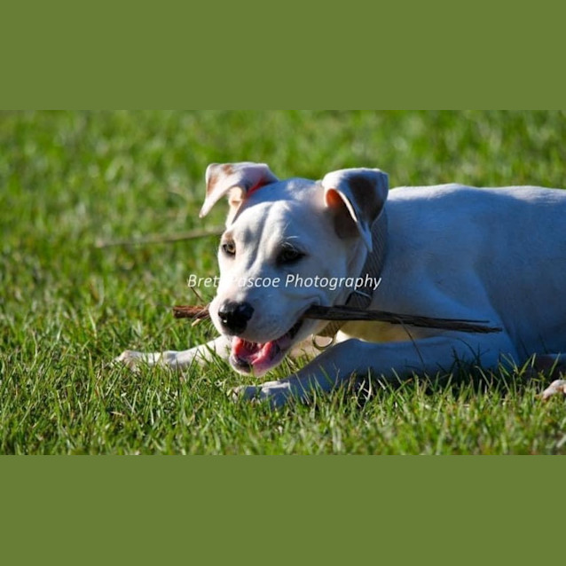 Photo of Audrey
