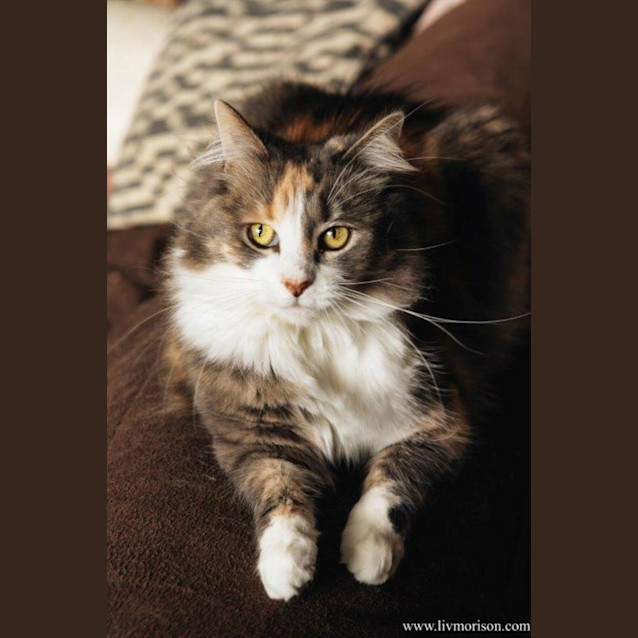 Photo of Peony Babbington