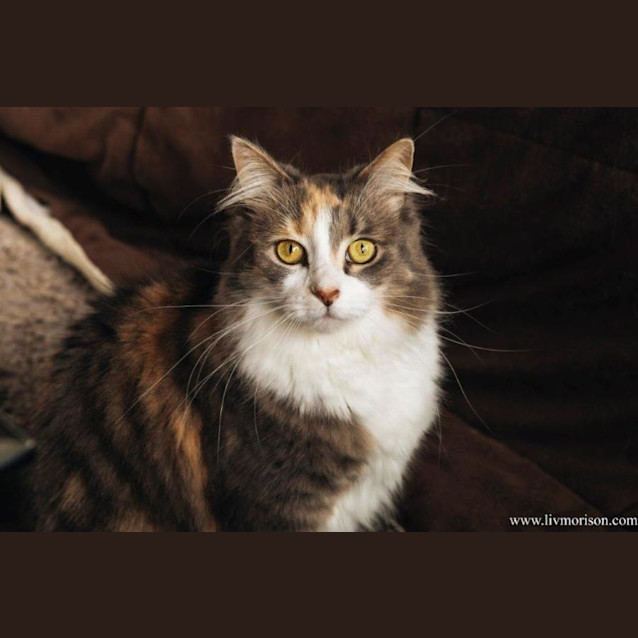 Photo of Peony Babbington