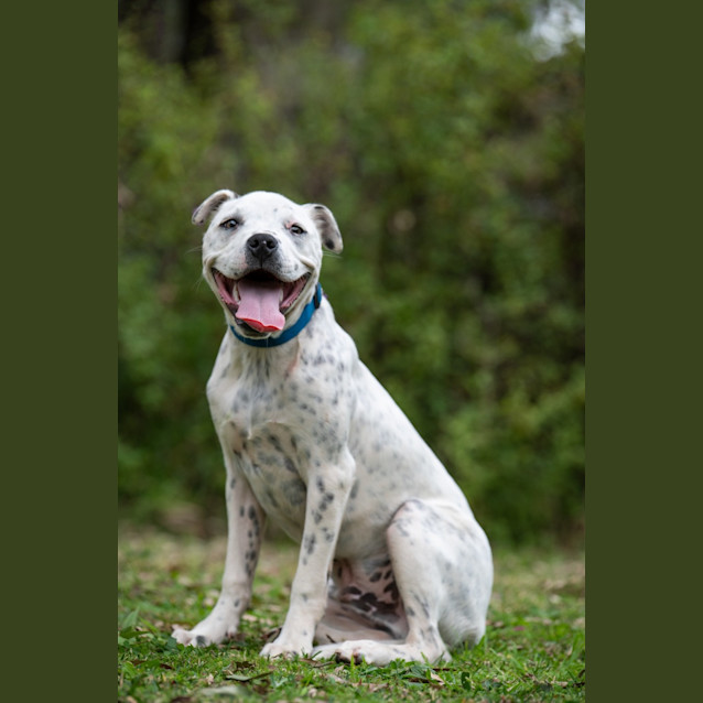 Photo of Denver