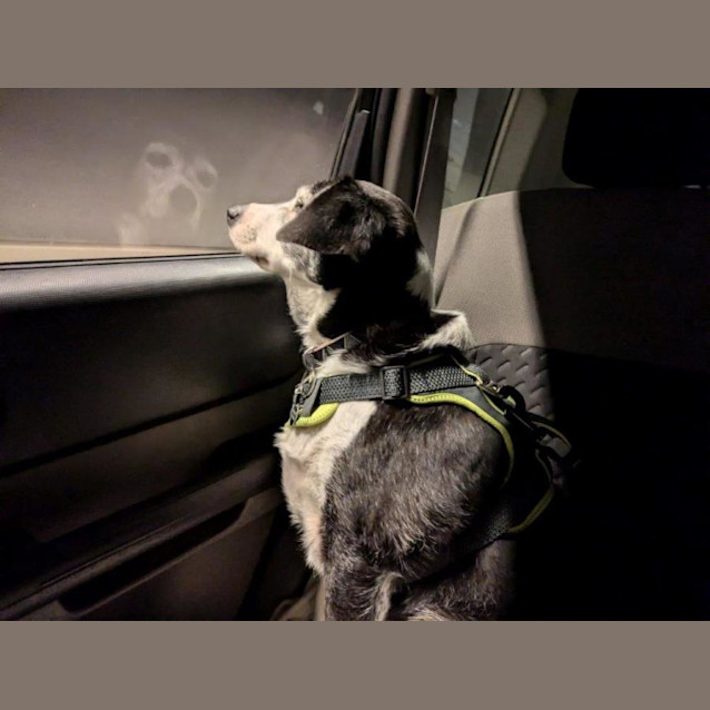 Photo of Sadie Illingworth