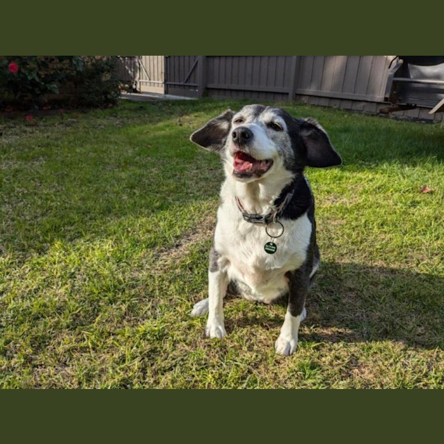 Photo of Sadie Illingworth