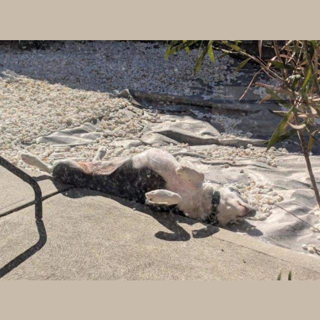 Photo of Sadie Illingworth