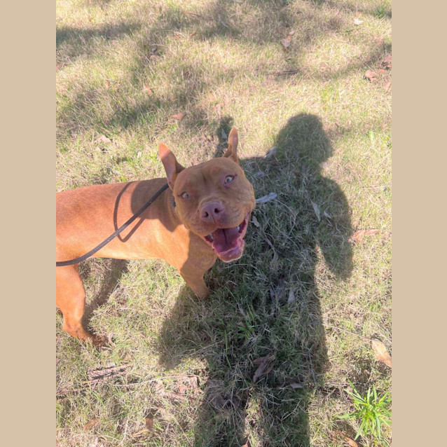 Photo of Ziggy