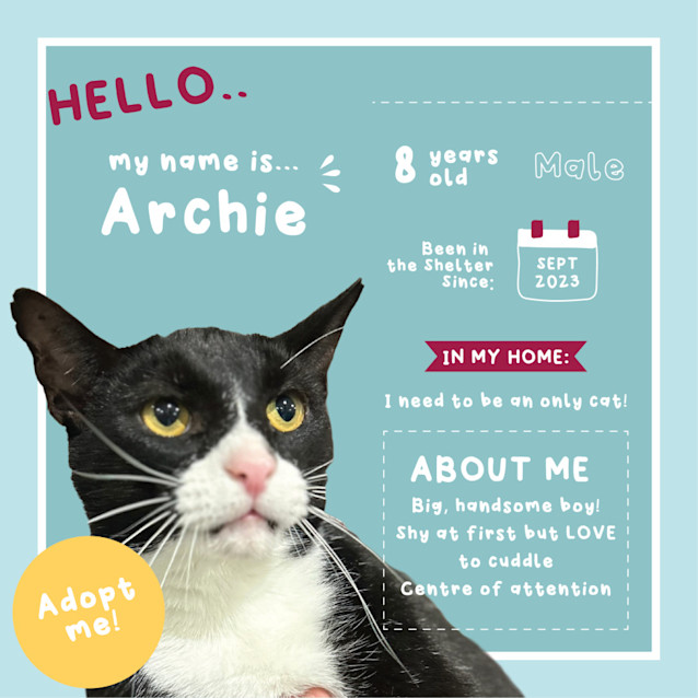 Photo of Archie