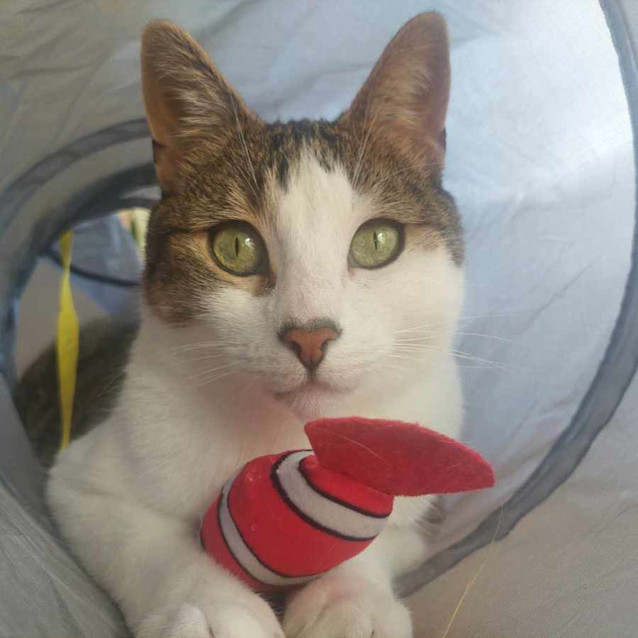 Photo of Thomas   Located In Preston