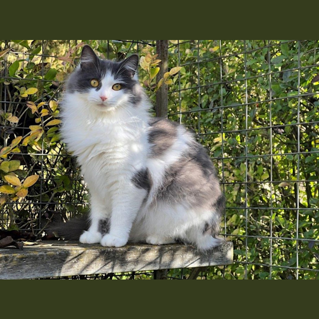 Photo of Indigo Haliwell