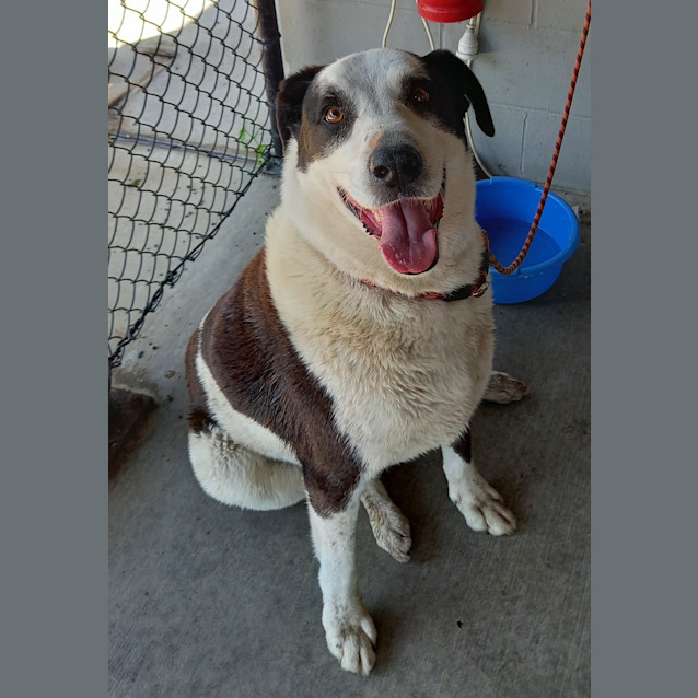 Photo of Thor