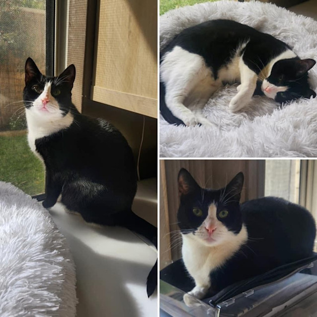 Photo of 9767   Narla