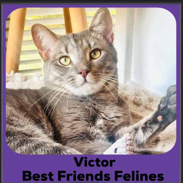 Photo of Victor