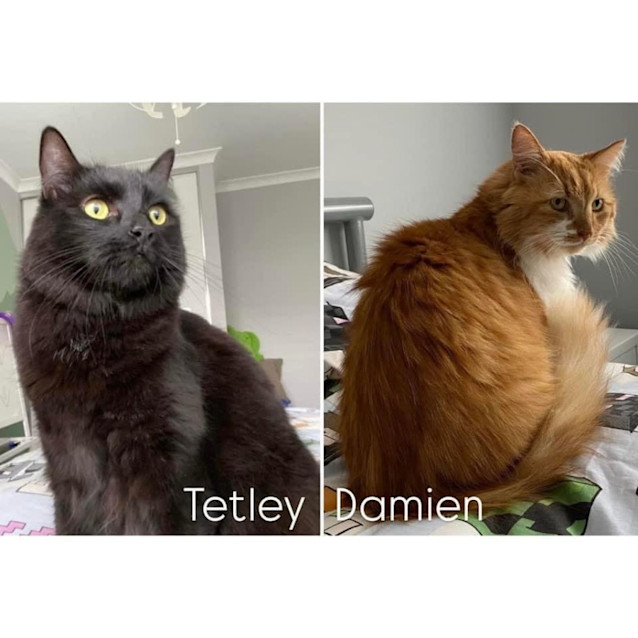 Photo of 1134/1240   Tetley & Damien