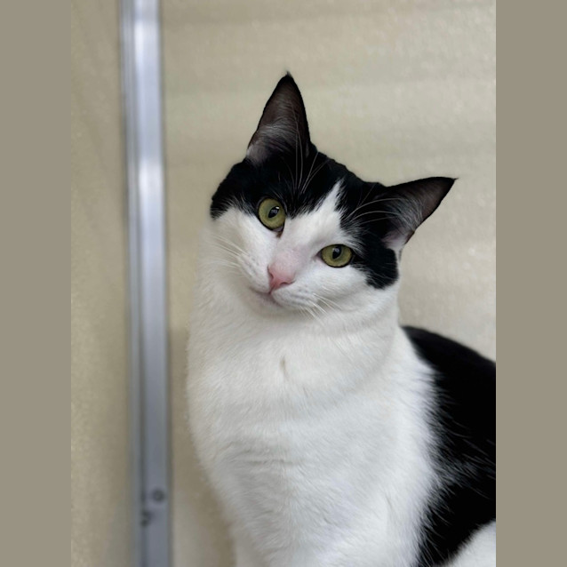 Photo of ✨ Atlas 5090 ✨