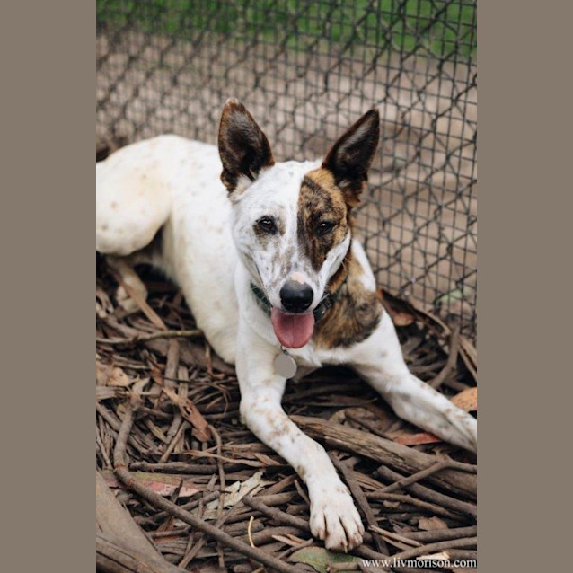 Photo of Dizzy Babbington